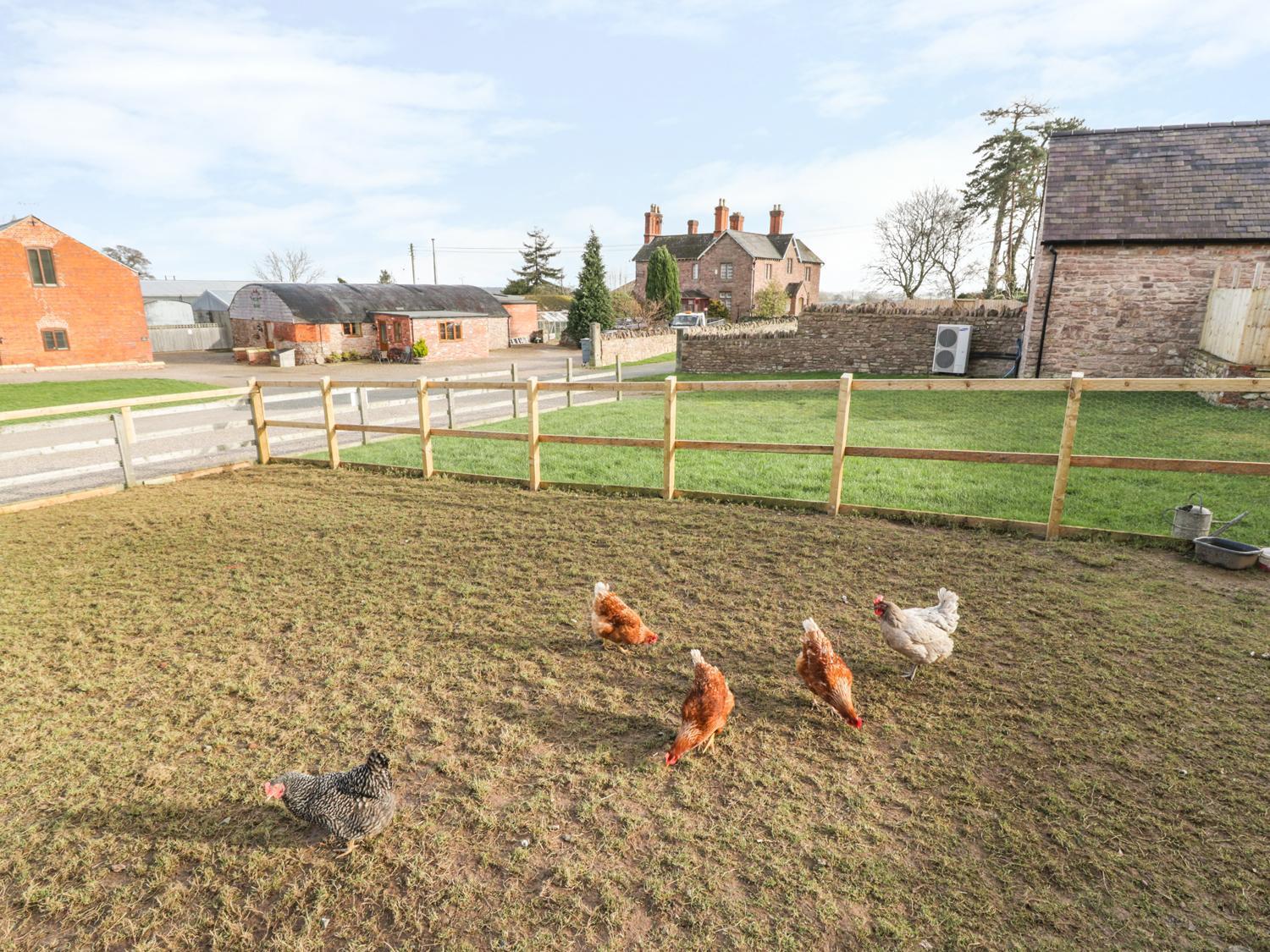 The Old Sheep Shed Villa Alberbury Exterior photo